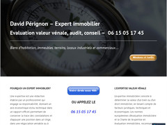 Détails : David Pérignon Expertises